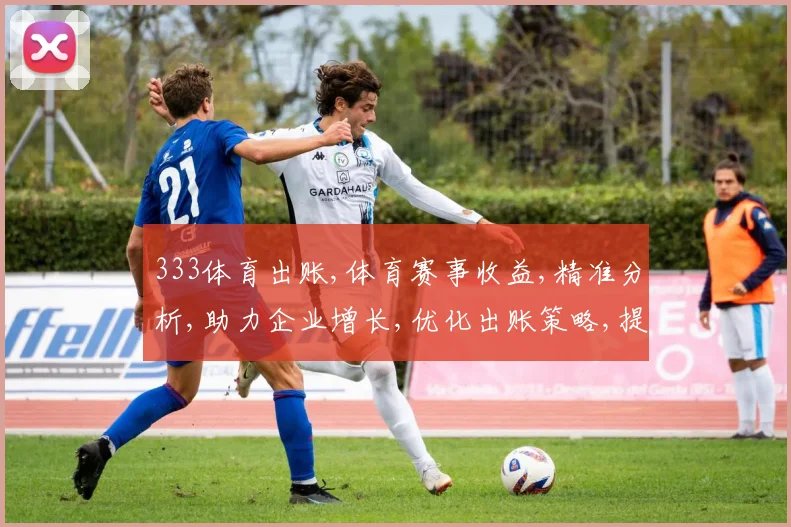 333体育出账,体育赛事收益,精准分析,助力企业增长,优化出账策略,提升盈利能力。