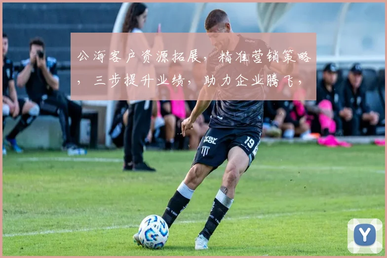 公海客户资源拓展，精准营销策略，三步提升业绩，助力企业腾飞，三大秘诀揭秘